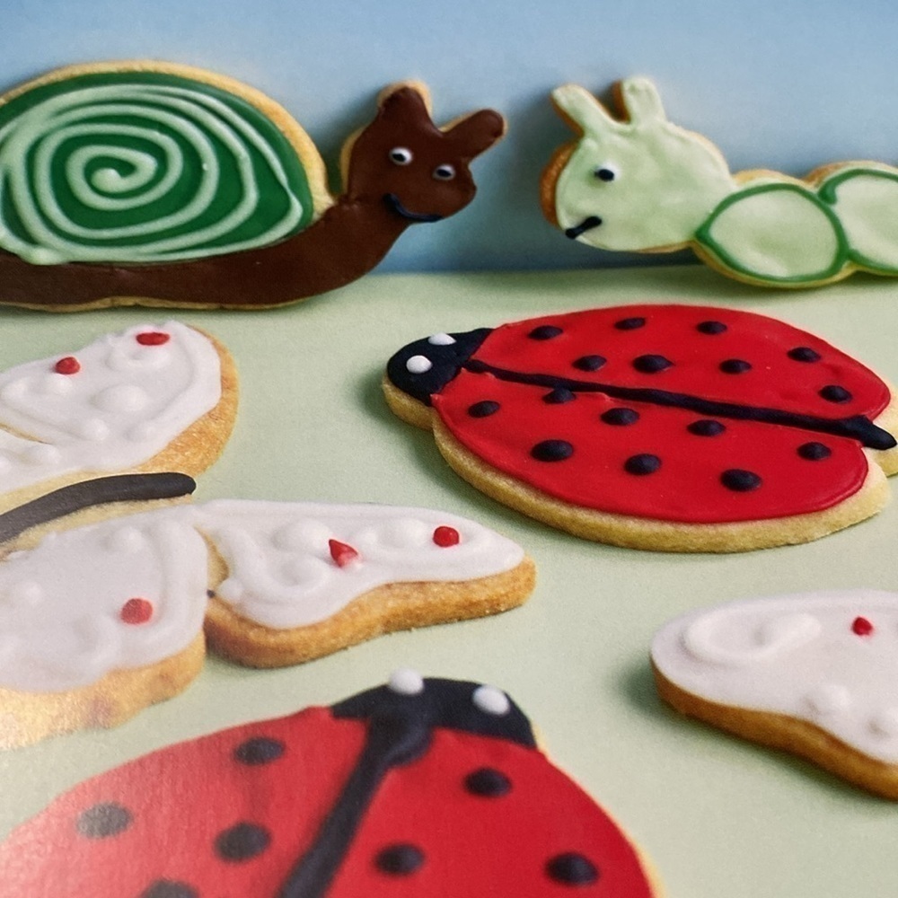 Decorating Cupcakes Cakes & Cookies Hardcover Cookbook by Annie Rigg 2010 New - Picture 9 of 11